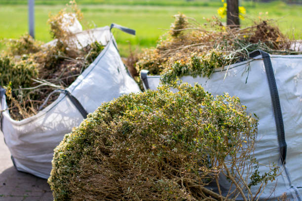 Best Trash Removal Near Me  in West Haverstraw, NY